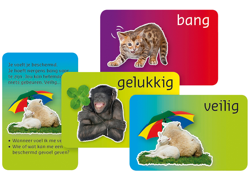 Kaartspel - emoties - Dubbelzes - Lekker in je vel - praten over emoties - coaching kaartjes - per spel