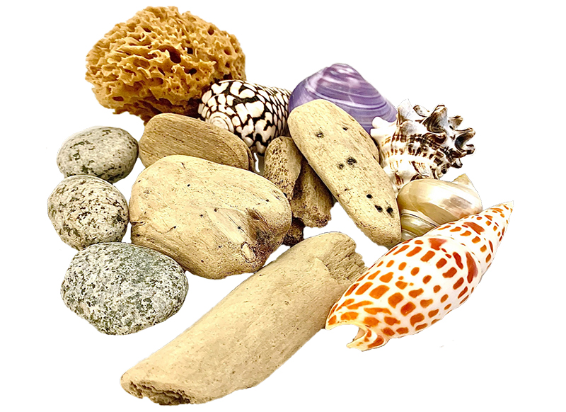 Loose parts - Papoose - beach set - set van 14