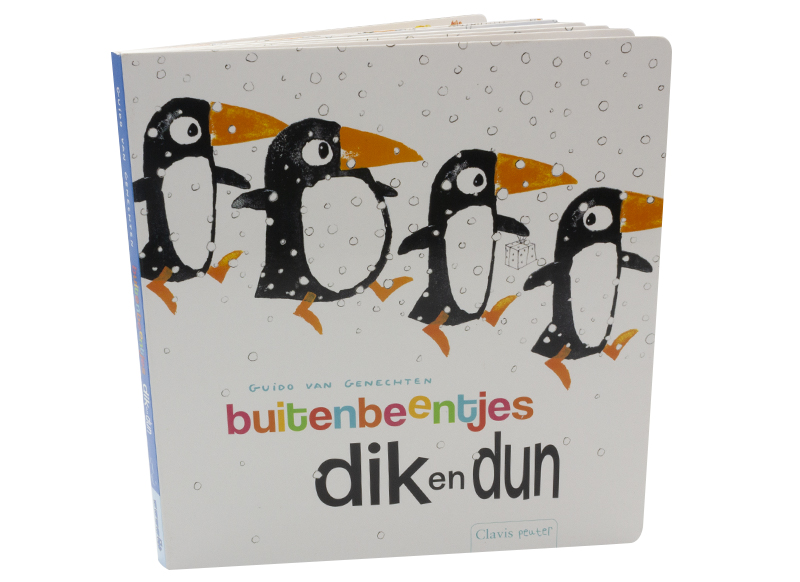 Boek - buitenbeentjes - dik en dun - per stuk