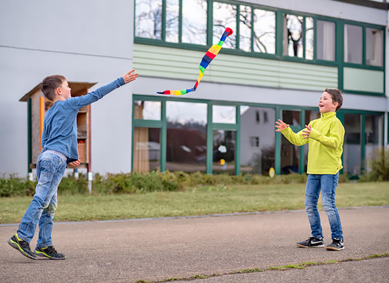 Bal - staartbal - leder - regenboog - per stuk