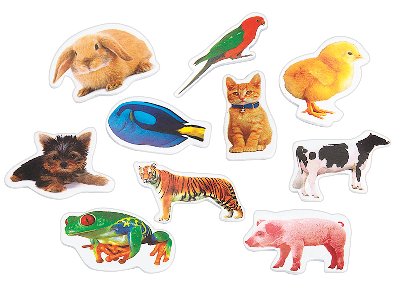 Stickers - foam - dieren - set van 500 assorti