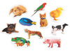 Foam - stickers - dieren foto's - set van 500 assorti