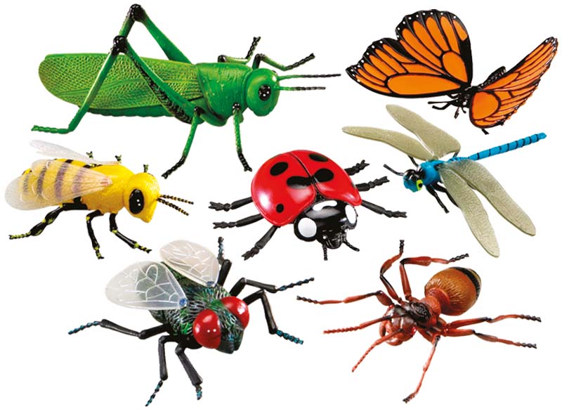 Insecten