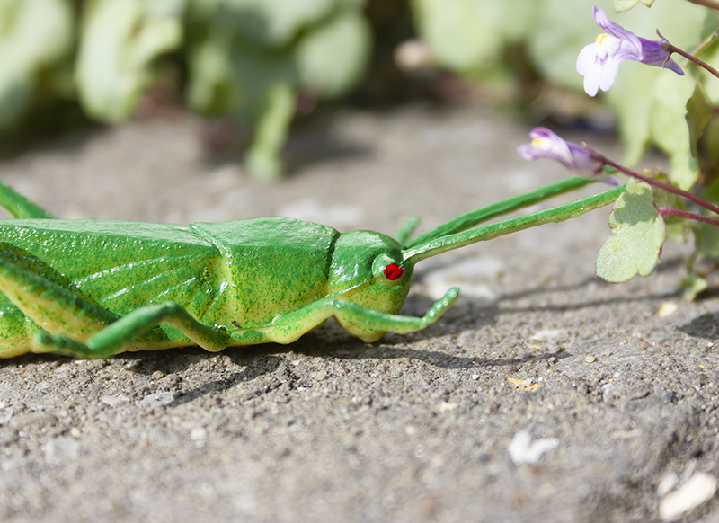 Speelgoed dieren - insecten - set van 48 assorti