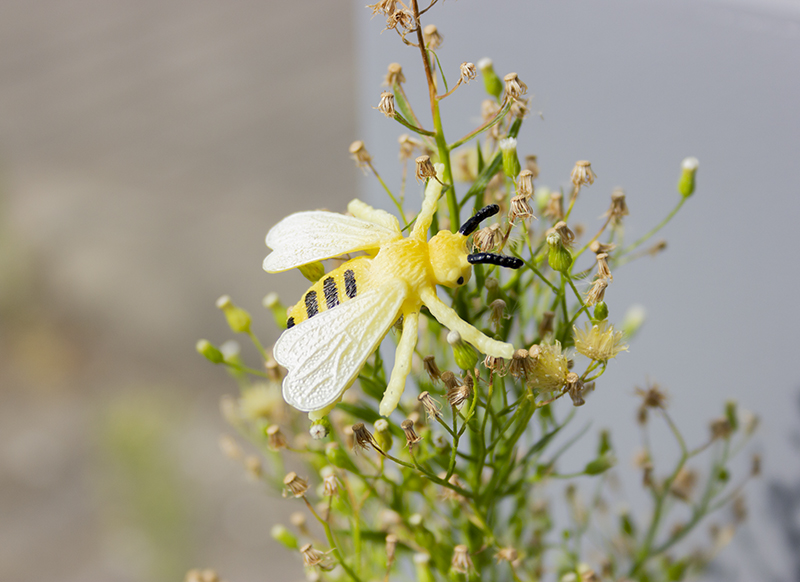 Speelgoed dieren - insecten - set van 48 assorti
