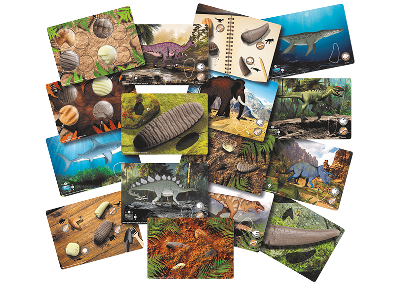 Ontdekkingsmateriaal - Yellow Door Let’s Investigate Prehistoric Teeth Activity Cards - prehistorische tanden - opdrachtkaarten - set van 16