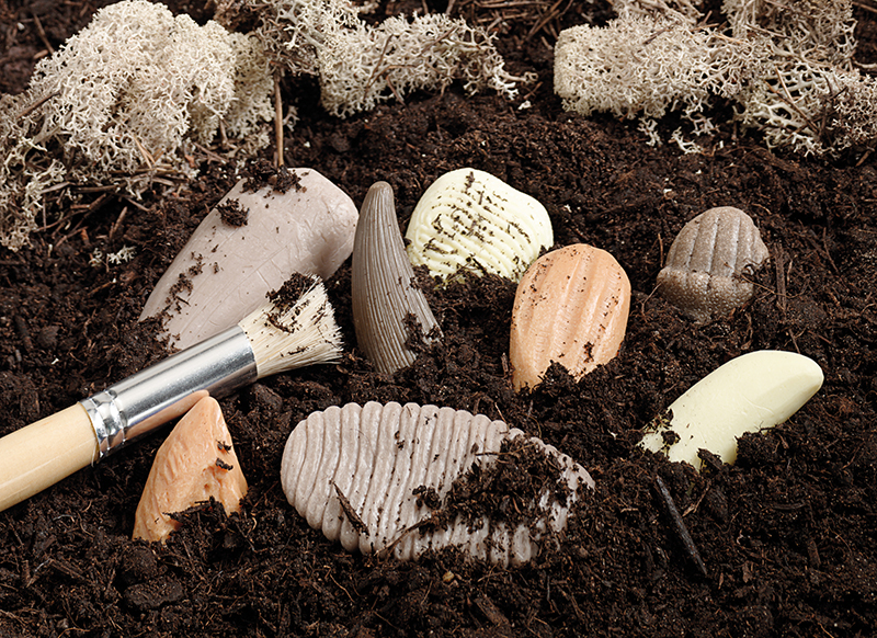 Ontdekkingsmateriaal - Yellow Door Let’s Investigate Prehistoric Teeth - prehistorische tanden - steenmix - 10,5 cm - set van 8