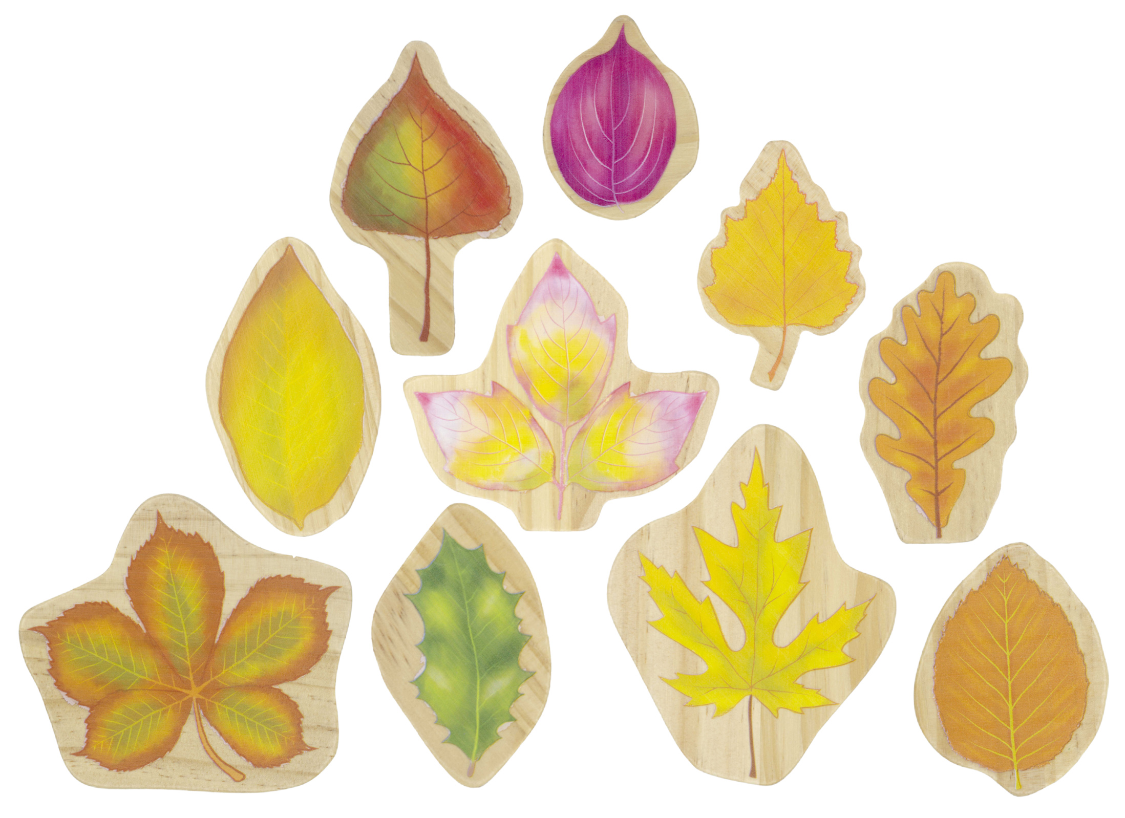 Speelgoed - figuren - Freckled Frog Stacking Leaves - bladvormen - hout - set van 10