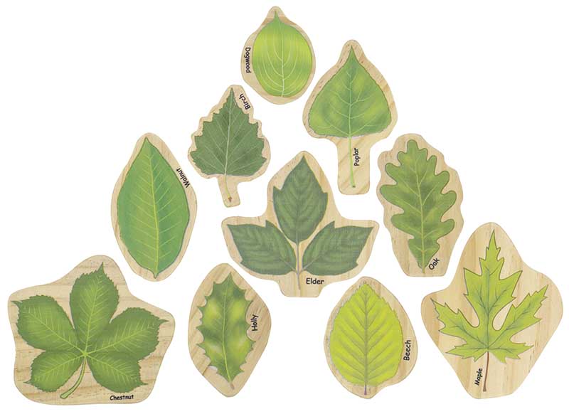 Speelgoed - figuren - Freckled Frog Stacking Leaves - bladvormen - hout - set van 10