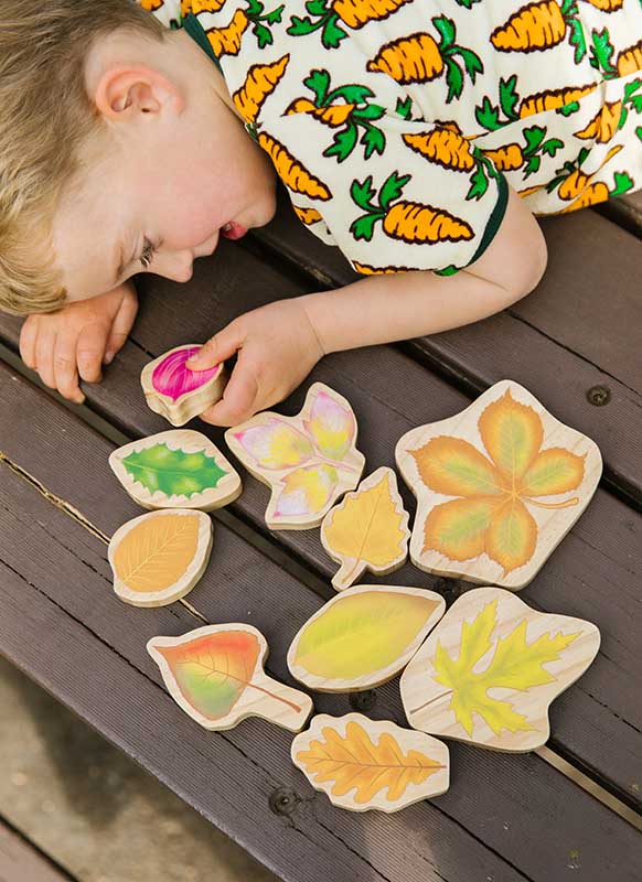 Speelgoed - figuren - Freckled Frog Stacking Leaves - bladvormen - hout - set van 10
