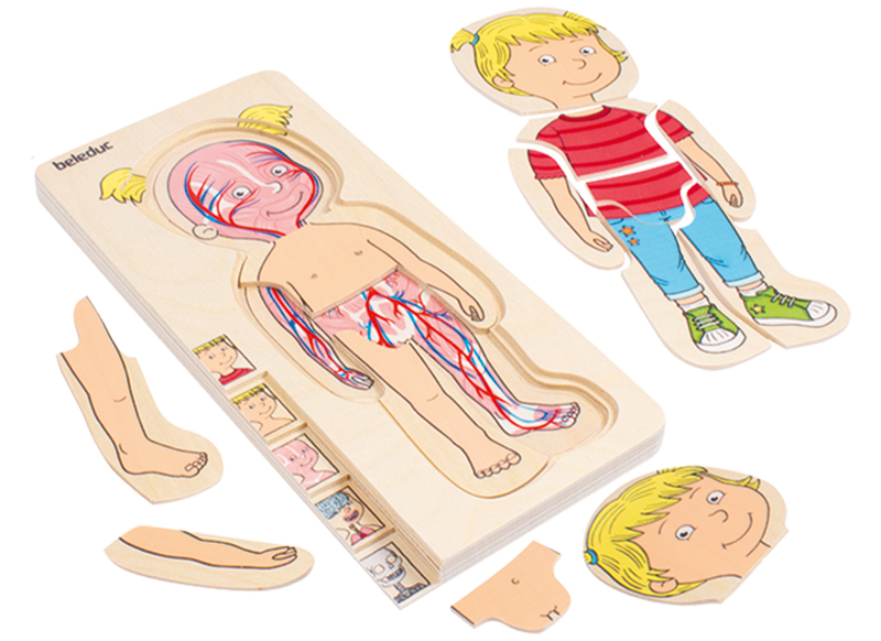 Lagenpuzzel - Beleduc - menselijk lichaam - anatomie - 5 lagen - hout - per stuk
