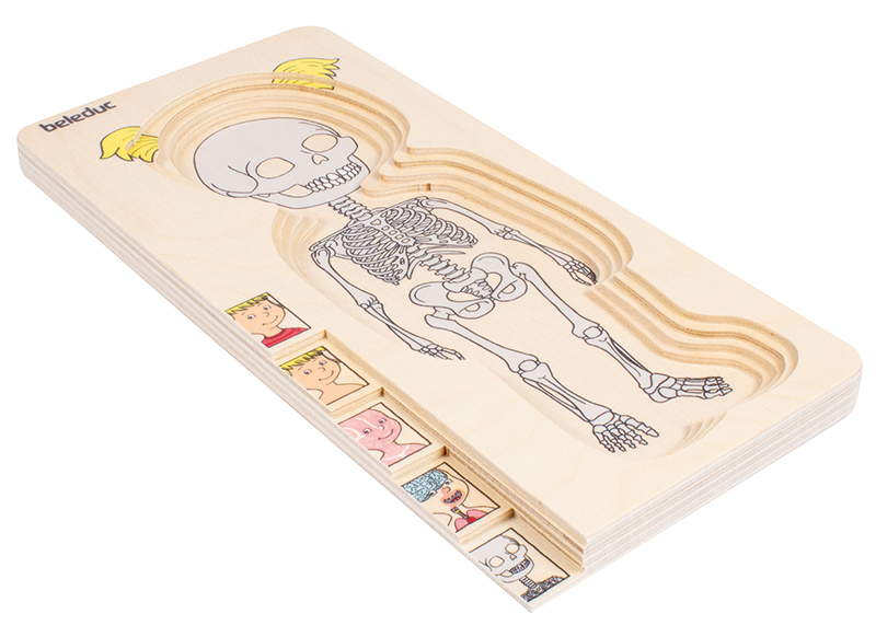 Lagenpuzzel - Beleduc - menselijk lichaam - anatomie - 5 lagen - hout - per stuk