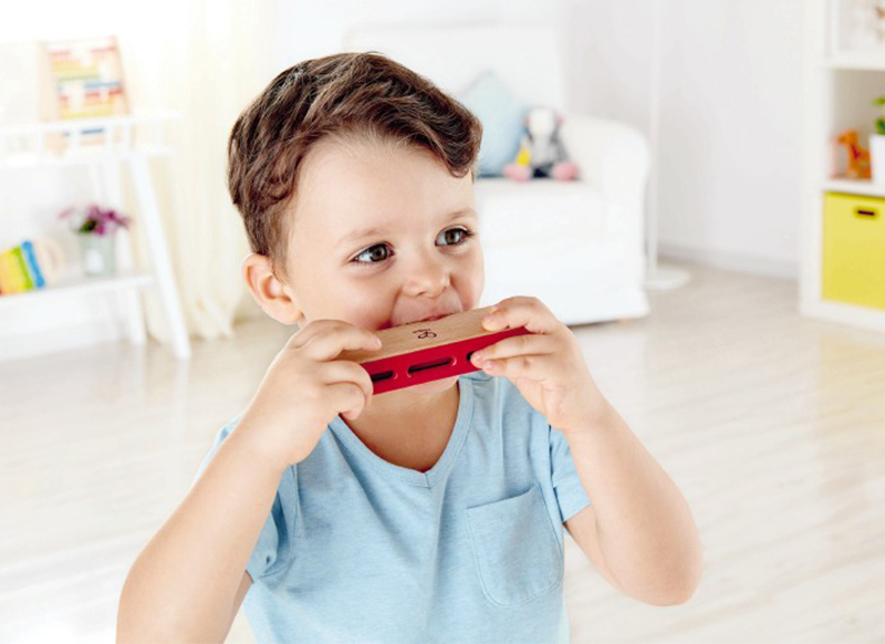 Muziek - instrument - Hape - harmonica - per stuk
