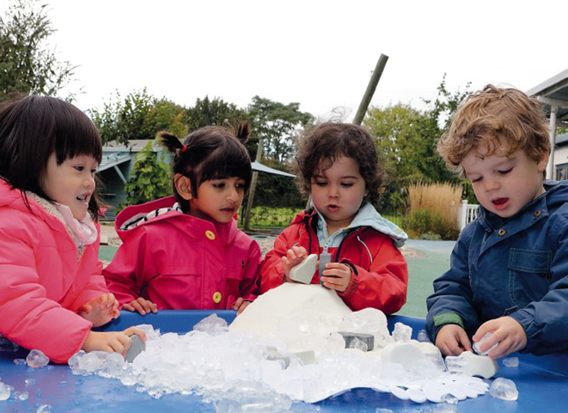 Figuren - Yellow Door Little Lands Polar - pooldieren - set van 8
