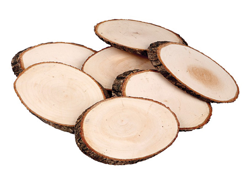 Schijven - hout - boomstam - ovaal - 11 x 7,5 cm x 8 mm - set van 12