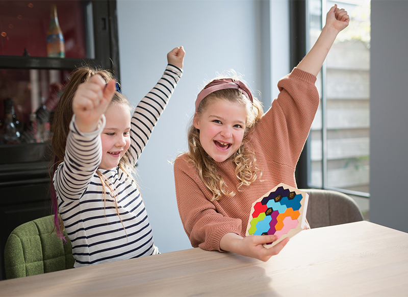 Kleur en vorm - Puzzzle Beezzz - puzzel - bijenkorf - legvormen - per spel