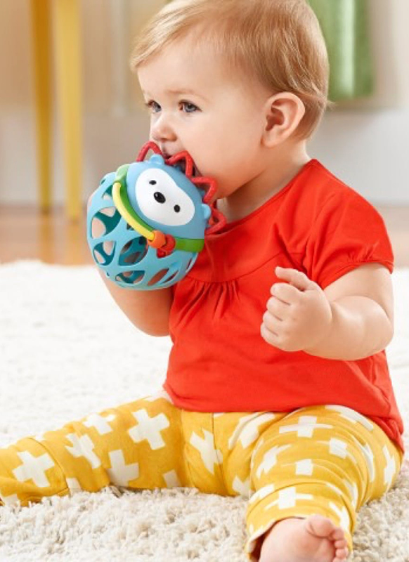 Babyspeelgoed - Skip Hop - roll around egeltje