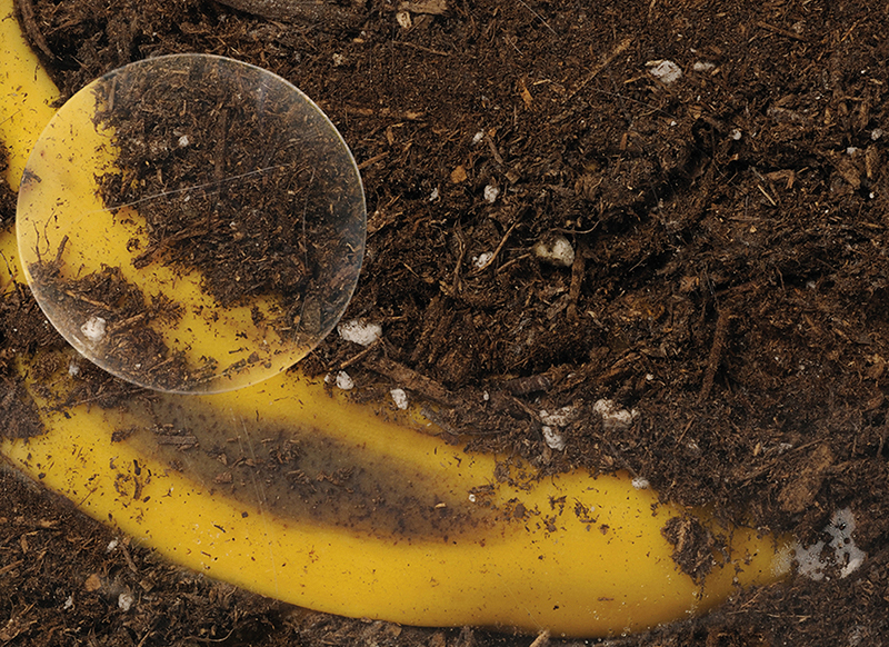 Stem - Learning Resources - doorkijk compostbak