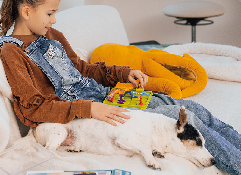 Denkspel - SmartGames Dog - hondenschool - per spel