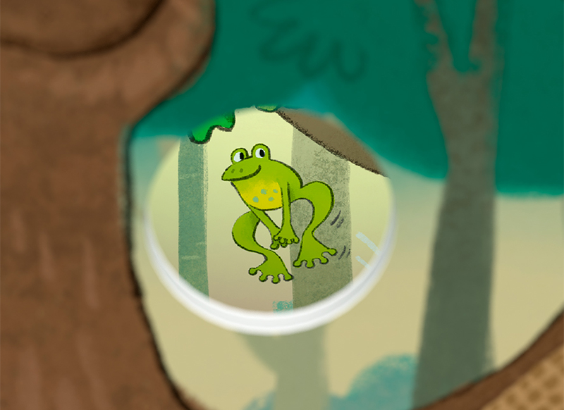 Spellen - mijn eerste spellen - Haba - bosvriendjes - per spel