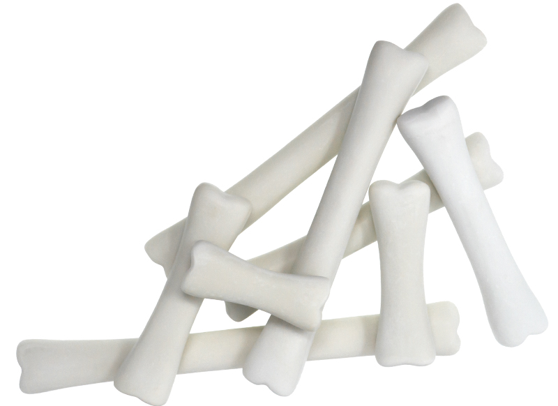 Meten en wegen  - Yellow Door Dinosaur Bones Match and Measure Set - dinosaurussen - per set