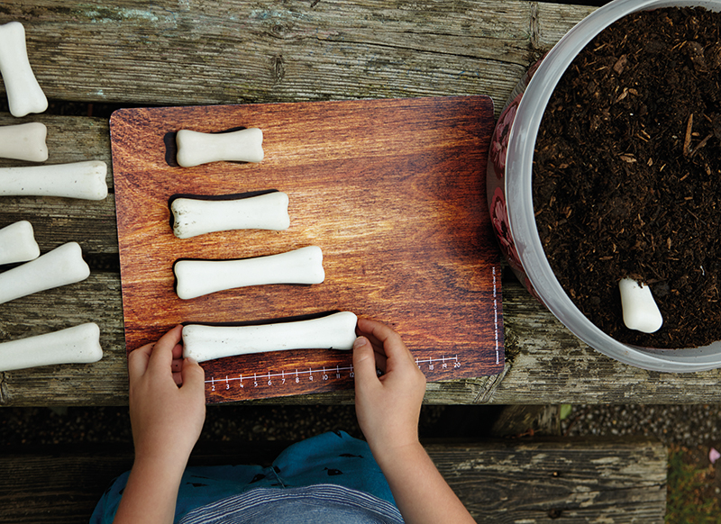 Meten en wegen  - Yellow Door Dinosaur Bones Match and Measure Set - dinosaurussen - per set