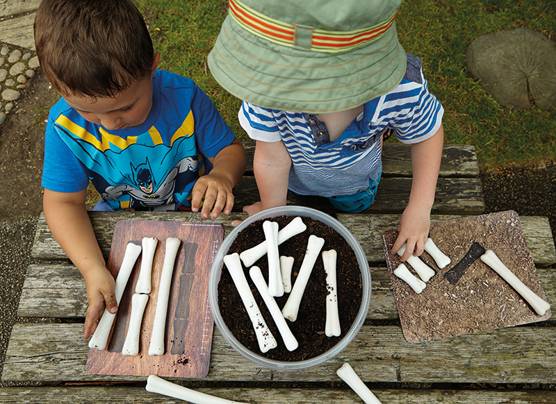 Meten en wegen  - Yellow Door Dinosaur Bones Match and Measure Set - dinosaurussen - per set