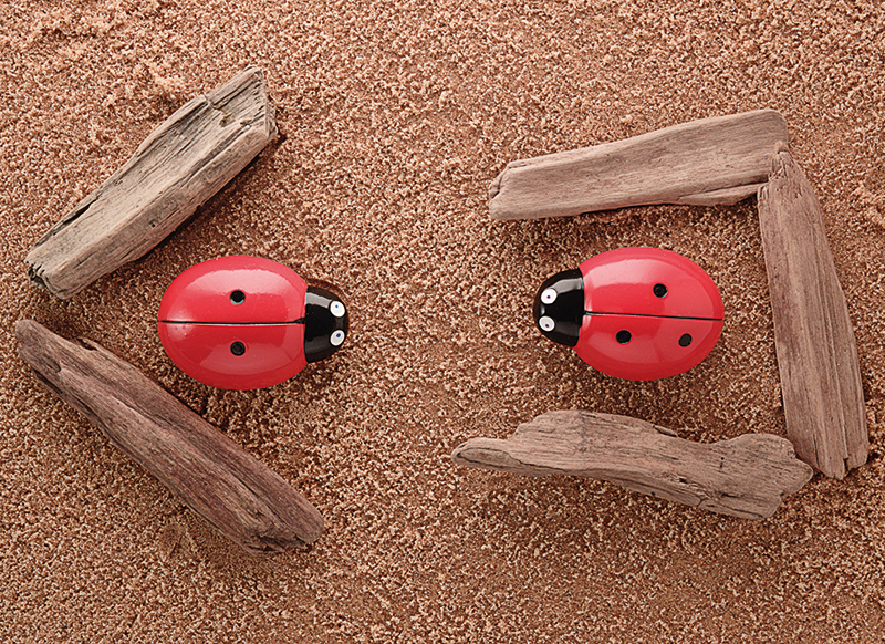 Spel - rekenspel - Yellow Door Ladybug Counting Stones - telstenen - lieveheersbeestjes - per spel