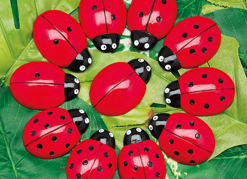 Spel - rekenspel - Yellow Door Ladybug Counting Stones - telstenen - lieveheersbeestjes - per spel