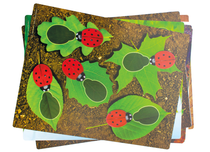 Spel - rekenspel - Yellow Door Ladybug Counting Cards - lieveheersbeest - opdrachtkaarten voor XE9049 - set van 16 assorti