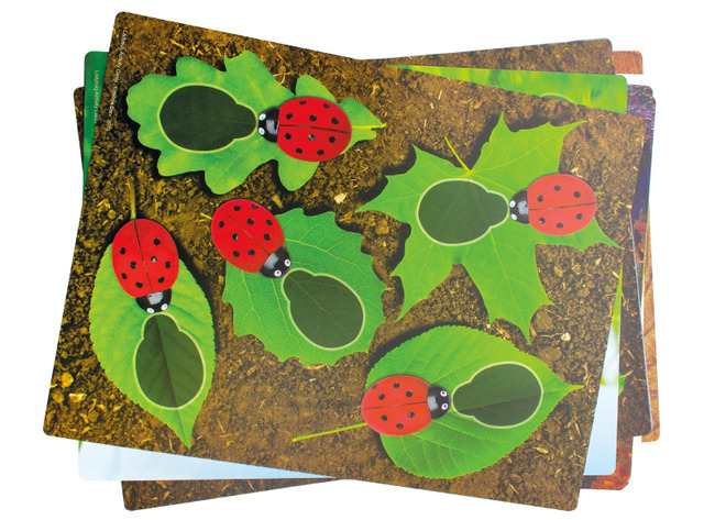 Spel - rekenspel - Yellow Door Ladybug Counting Cards - lieveheersbeest - opdrachtkaarten voor XE9049 - set van 16 assorti
