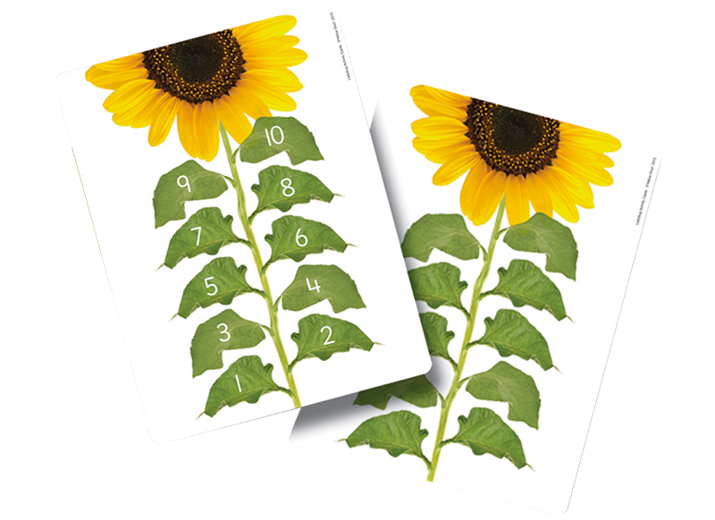 Spel - rekenspel - Yellow Door Ladybug Counting Cards - lieveheersbeest - opdrachtkaarten voor XE9049 - set van 16 assorti