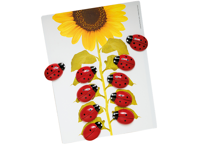 Spel - rekenspel - Yellow Door Ladybug Counting Cards - lieveheersbeest - opdrachtkaarten voor XE9049 - set van 16 assorti