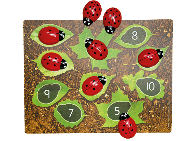 Spel - rekenspel - Yellow Door Ladybug Counting Cards - lieveheersbeest - opdrachtkaarten voor XE9049 - set van 16 assorti