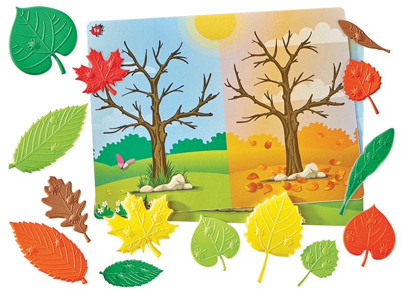 Kleur en vorm - hand2mind Sensory Leaves Math Activity Set - sensorische blaadjes - bomen - wiskundige initiatief - per spel