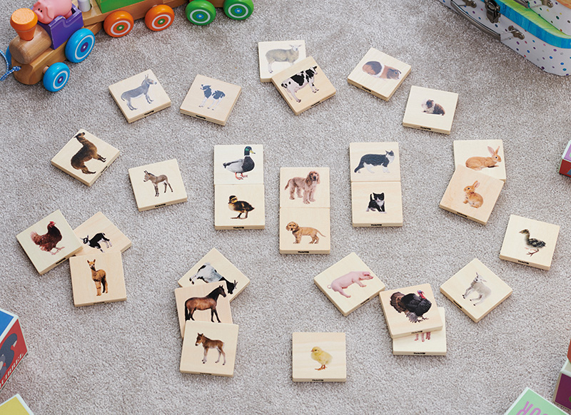Puzzel - evolutiepuzzel - tickit Domestic Animal Family Match - huisdieren - 7 cm - hout - vierkant - per stuk